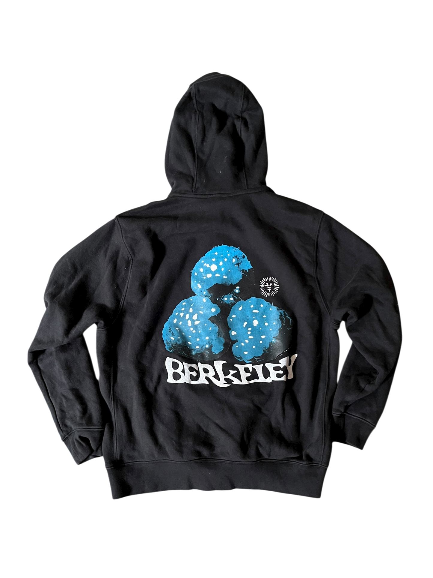 L Nike Berkeley Berry Zip Hoodie