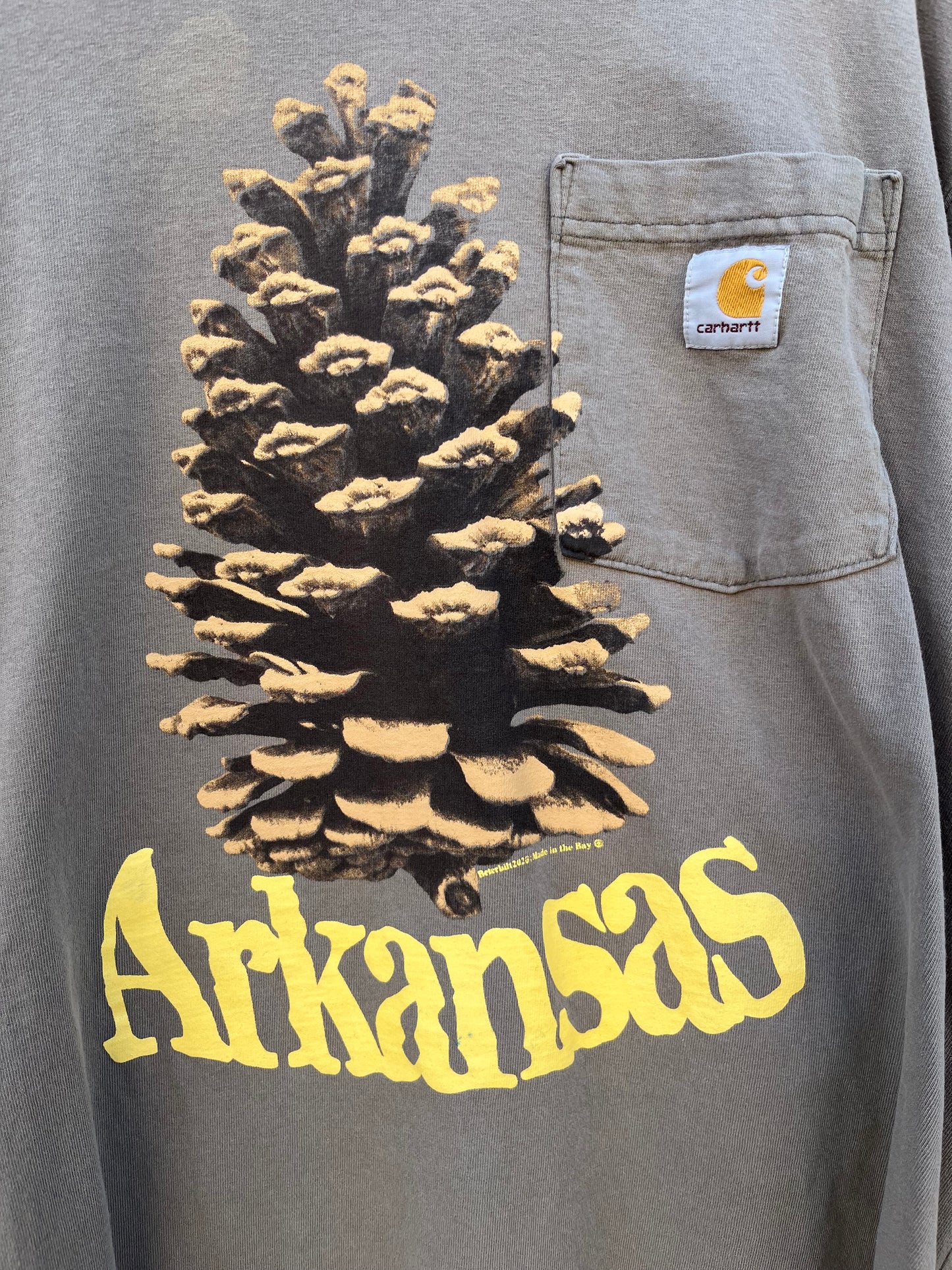 L Pinecone Carhartt Longsleeve Shirt