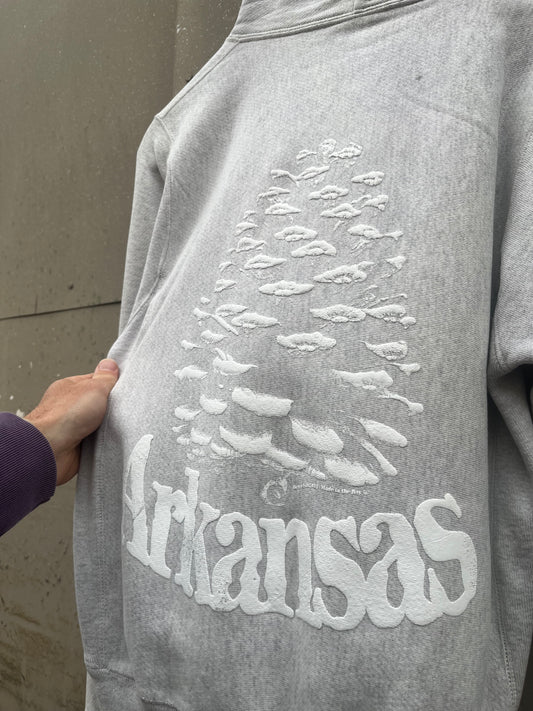 XS Snowcone Champion Hoodie