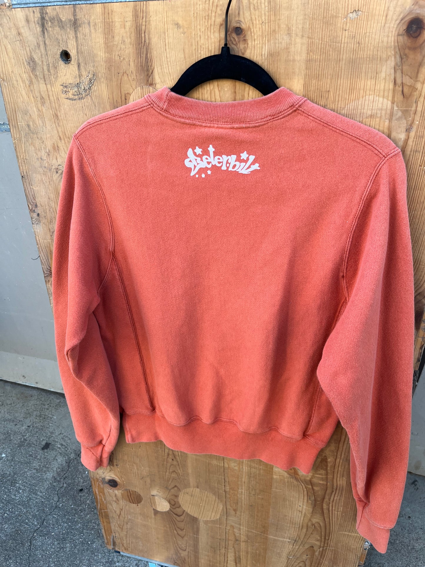 XS Orange Cherry Champion Sweatshirt