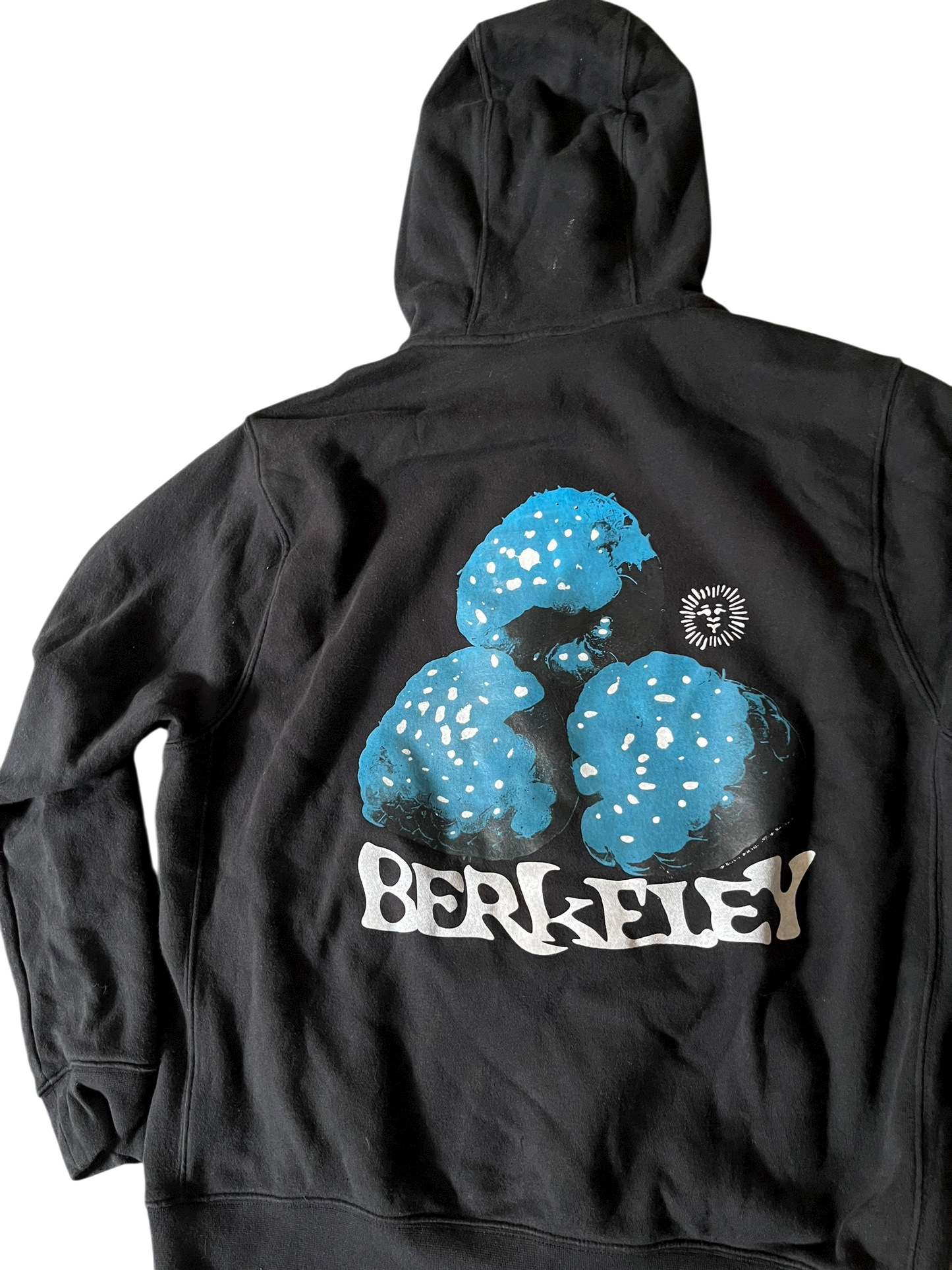 L Nike Berkeley Berry Zip Hoodie