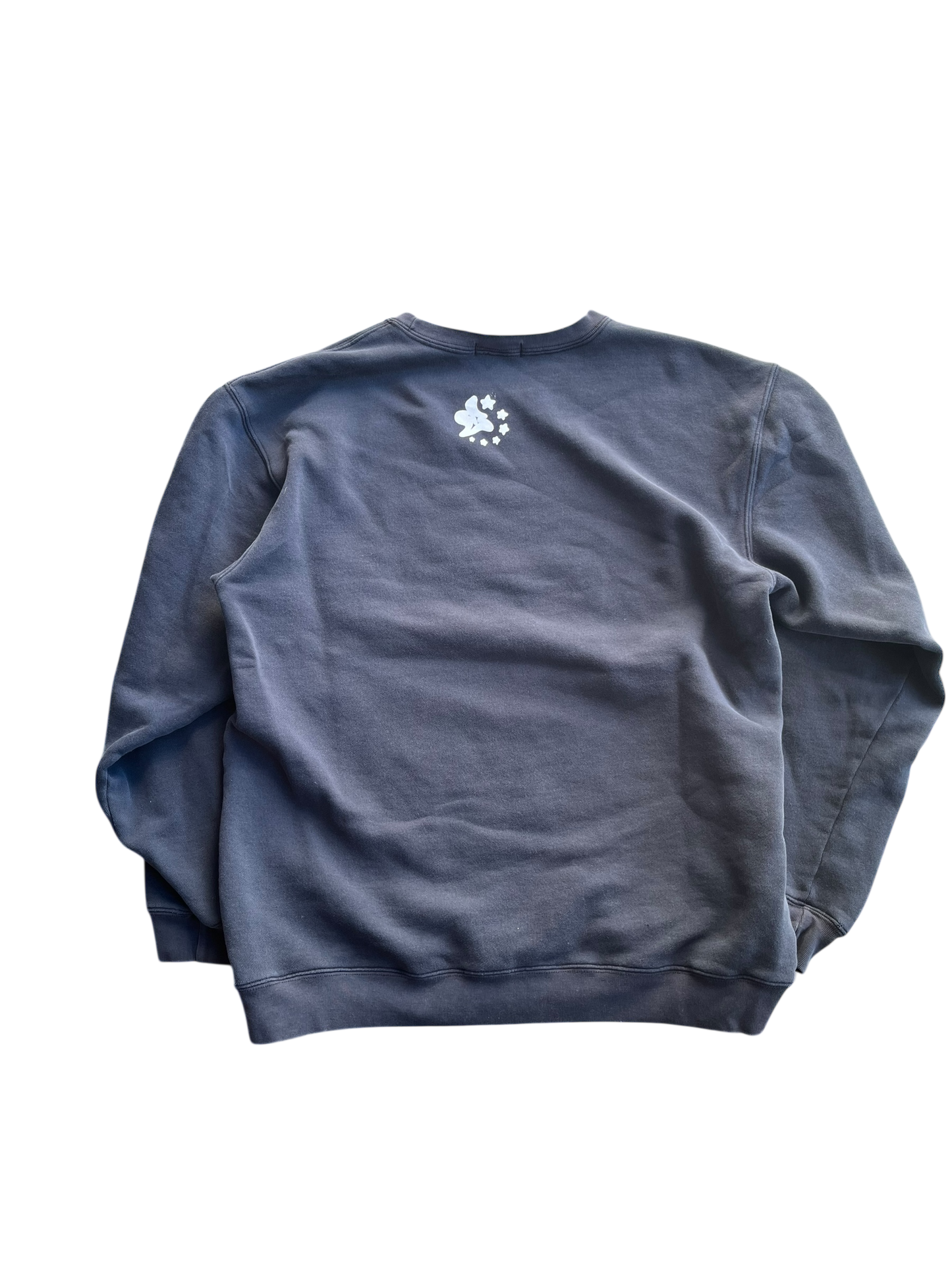 M Y2K Lands End Arkasnas Pinecone Sweatshirt