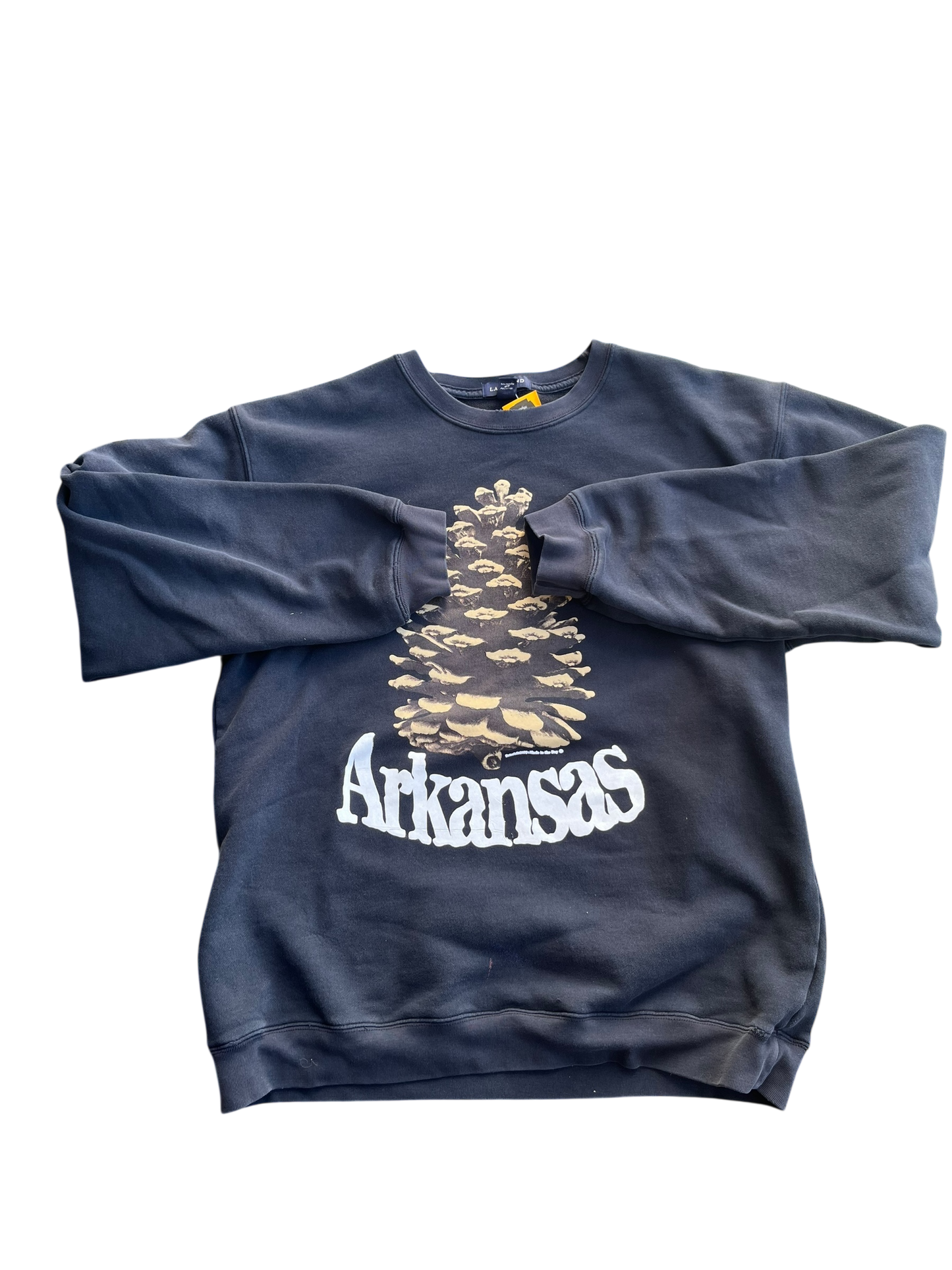 M Y2K Lands End Arkasnas Pinecone Sweatshirt