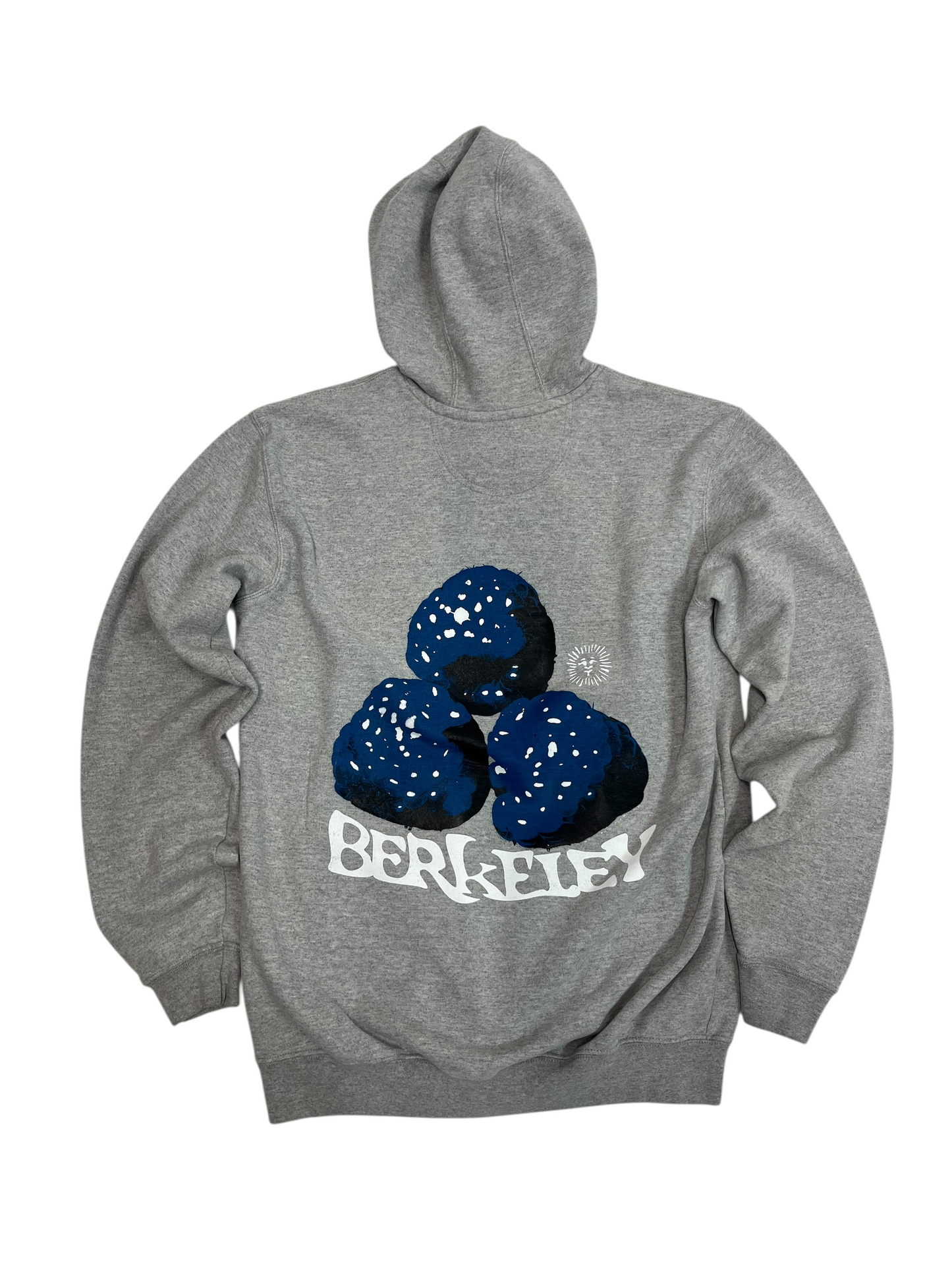 S Tall Carhartt Berkeley (Razz)Berry Hoodie