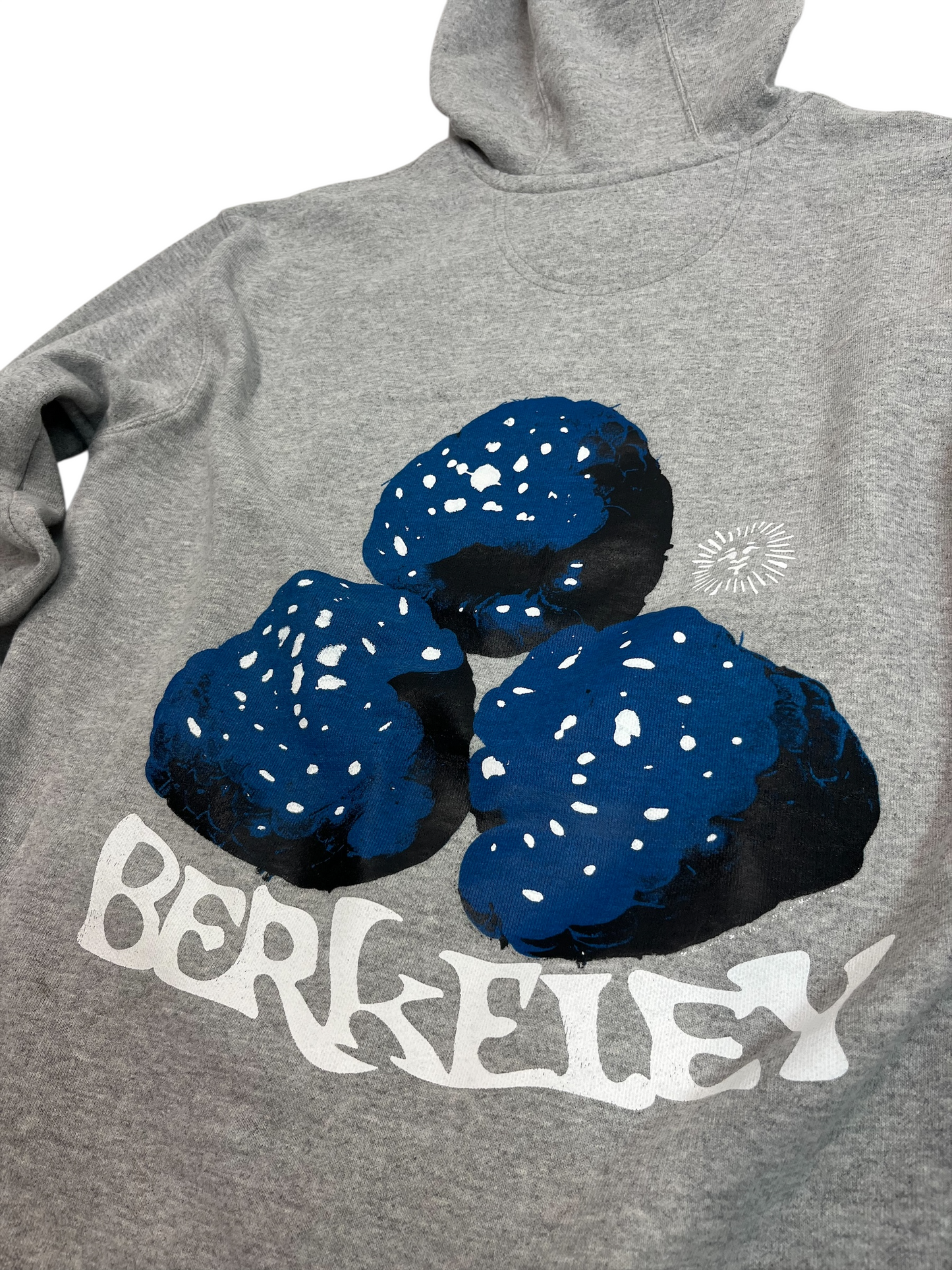 S Tall Carhartt Berkeley (Razz)Berry Hoodie