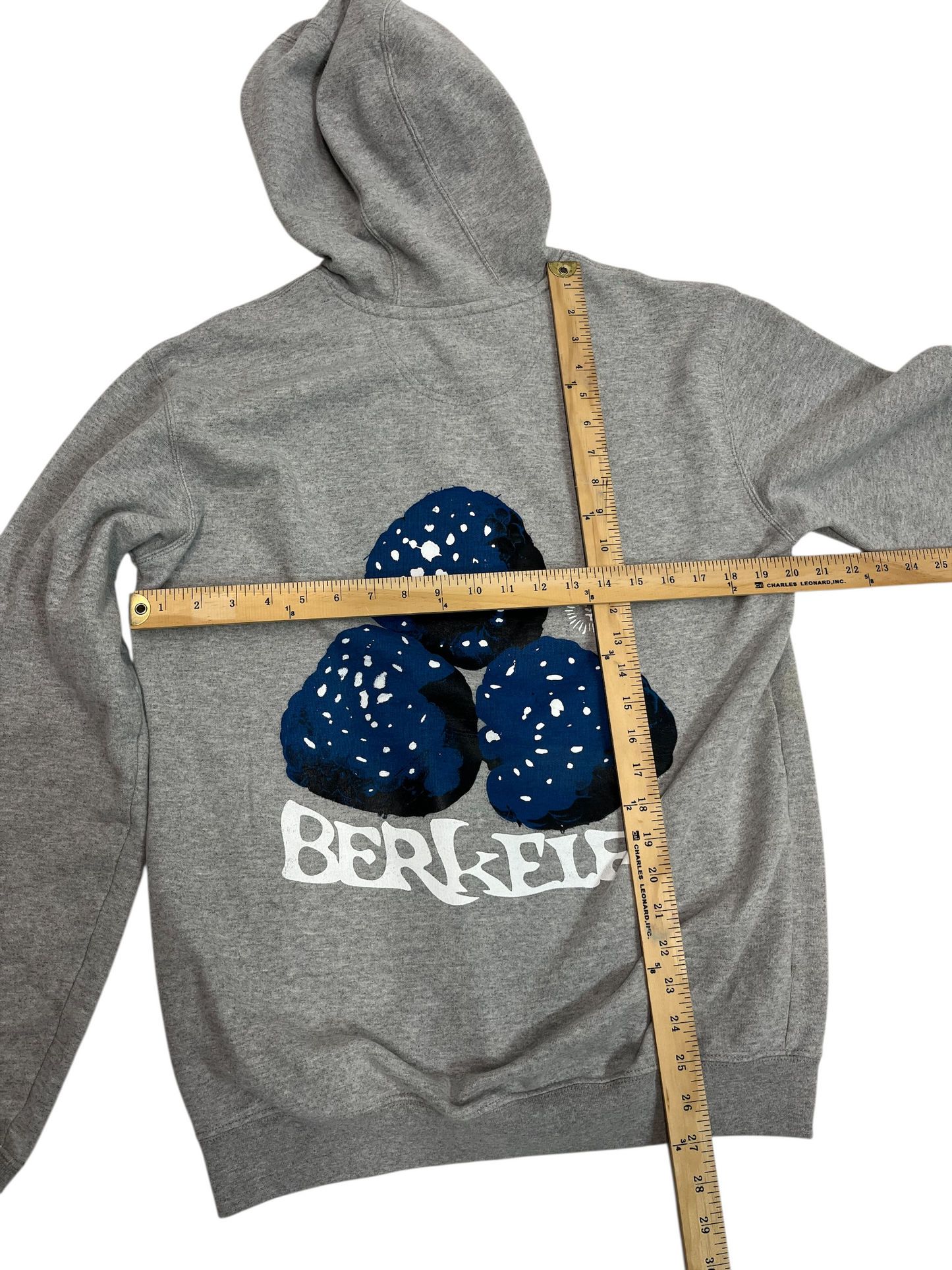 S Tall Carhartt Berkeley (Razz)Berry Hoodie